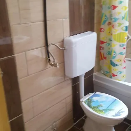 Apartament Ioana Apartment *